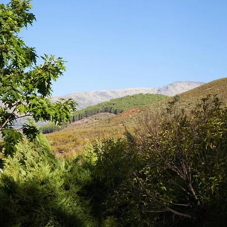 La Sayuela *