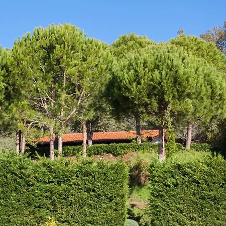 Feriehus La Sayuela El Raso