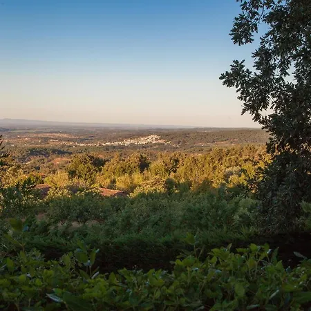 Ferienhaus La Sayuela El Raso