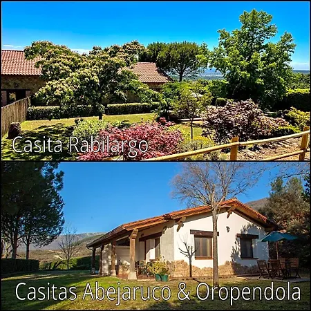 La Sayuela *