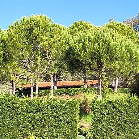 La Sayuela * El Raso