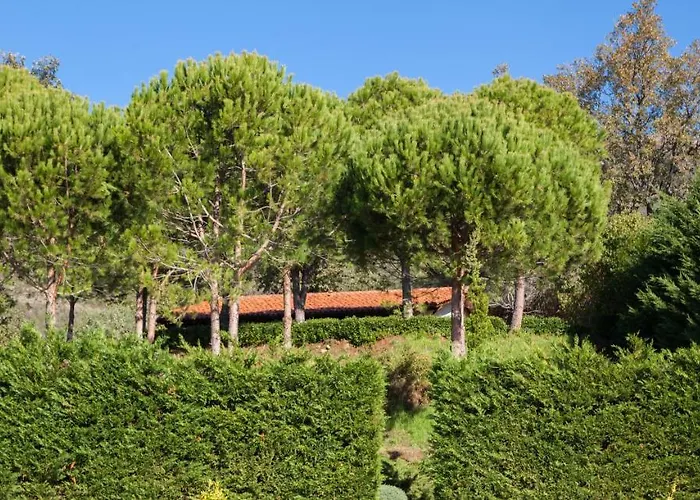 Vakantiehuis La Sayuela El Raso